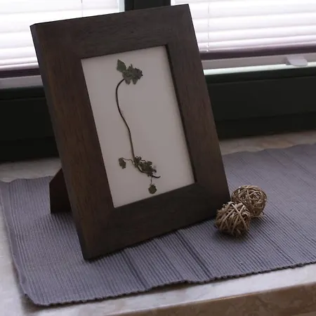 דירה Silentio Schletterstrasse *