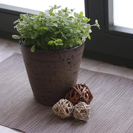 Silentio Schletterstrasse לייפציג