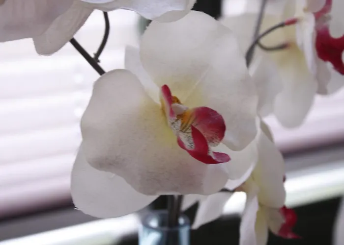 Silentio Schletterstrasse Lipsia