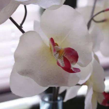 Silentio Schletterstrasse Leipzig