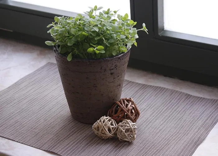 Silentio Schletterstrasse Leipzig